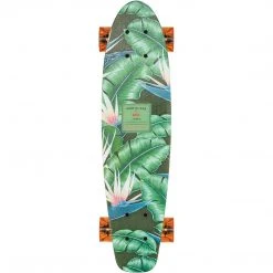 Globe SURF GLASS 24" Gear