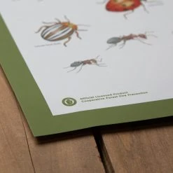 Landmark Project Insects Of The Forest Educational Poster Gear