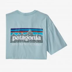 Patagonia P-6 Mission Organic T-Shirt For Men Men's