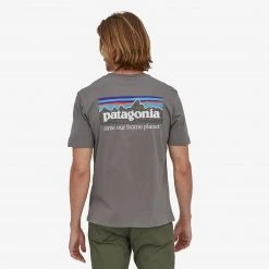 Patagonia P-6 Mission Organic T-Shirt For Men Men's