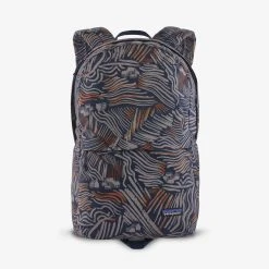 Patagonia Arbor Zip Pack 22L