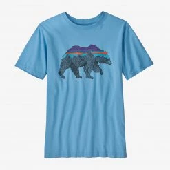 Patagonia Kids' Regenerative Organic Certification Cotton Graphic T-Shirt For Boys