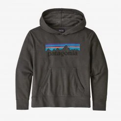 Patagonia Lightweight Graphic Hoody Sweatshirt For Kids Kids'