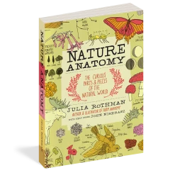 Workman Publishing Nature Anatomy By Julia Rothman Gear