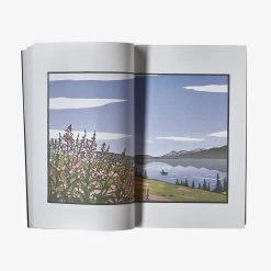 Patagonia Paddling North: A Solo Adventure Along The Inside Passage By Audrey Sutherland