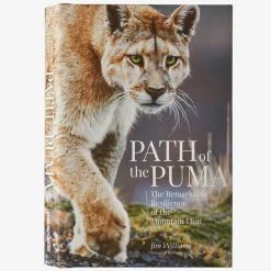 Patagonia Path Of The Puma: The Remarkable Resilience Of The Mountain Lion By Jim Williams
