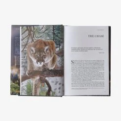 Patagonia Path Of The Puma: The Remarkable Resilience Of The Mountain Lion By Jim Williams