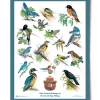 Landmark Project Gear Birds Of The Forest Educational Poster 2 Landmark Project Gear Birds Of The Forest Educational Poster