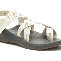 Chaco Z/Cloud 2 Sandals For Women Footwear