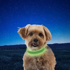 Nite Ize NiteDog Rechargeable LED Collar 9 Nite Ize NiteDog Rechargeable LED Collar
