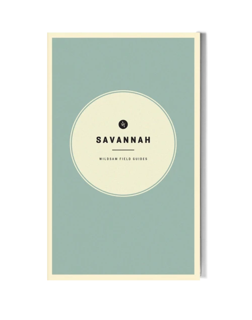 Wildsam Field Guides Gear Savannah Field Guide 3 Wildsam Field Guides Gear Savannah Field Guide