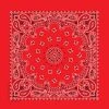 Carolina Bandana Men's Paisley Bandana
