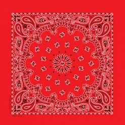 Carolina Bandana Men's Paisley Bandana