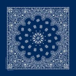 Carolina Bandana Paisley Bandana