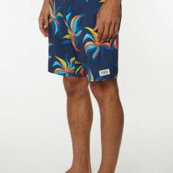 O'Neill Grove Flow Cruzer 19