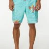 O'Neill Men's Hyperfreak Ulu 19" Boardshorts For Men 1 O'Neill Men's Hyperfreak Ulu 19" Boardshorts For Men